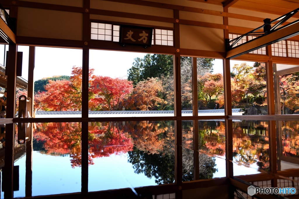 床紅葉 (2)
