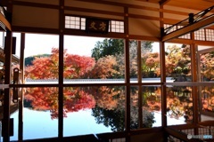 床紅葉 (2)