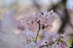 控えめに