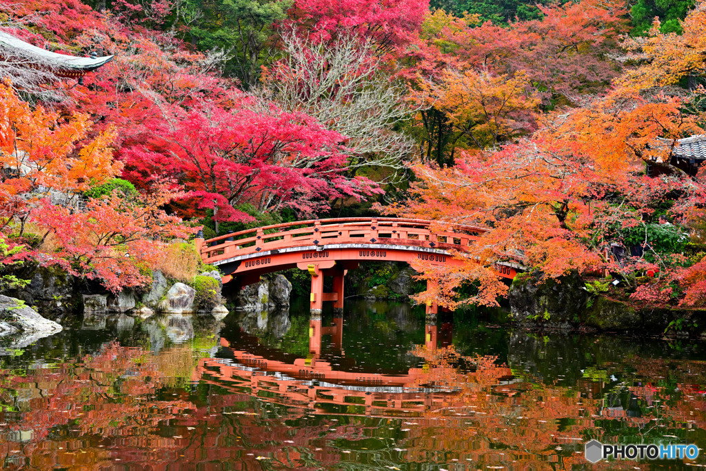 秋の景色