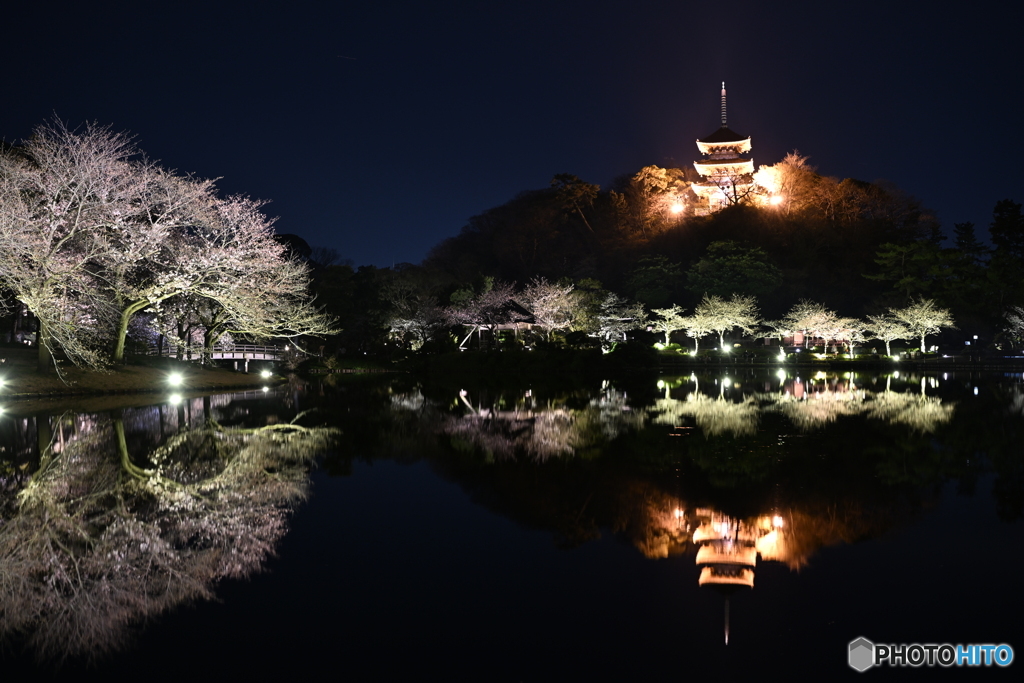 夜景