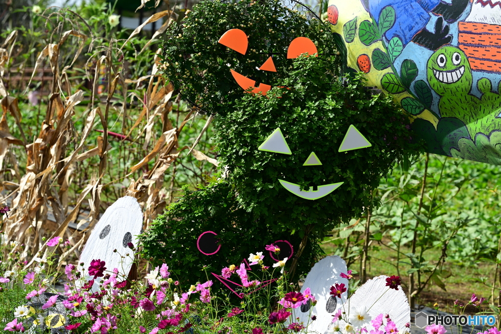 ハロウィンカット
