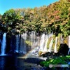 白糸の滝