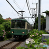 紫陽花電車