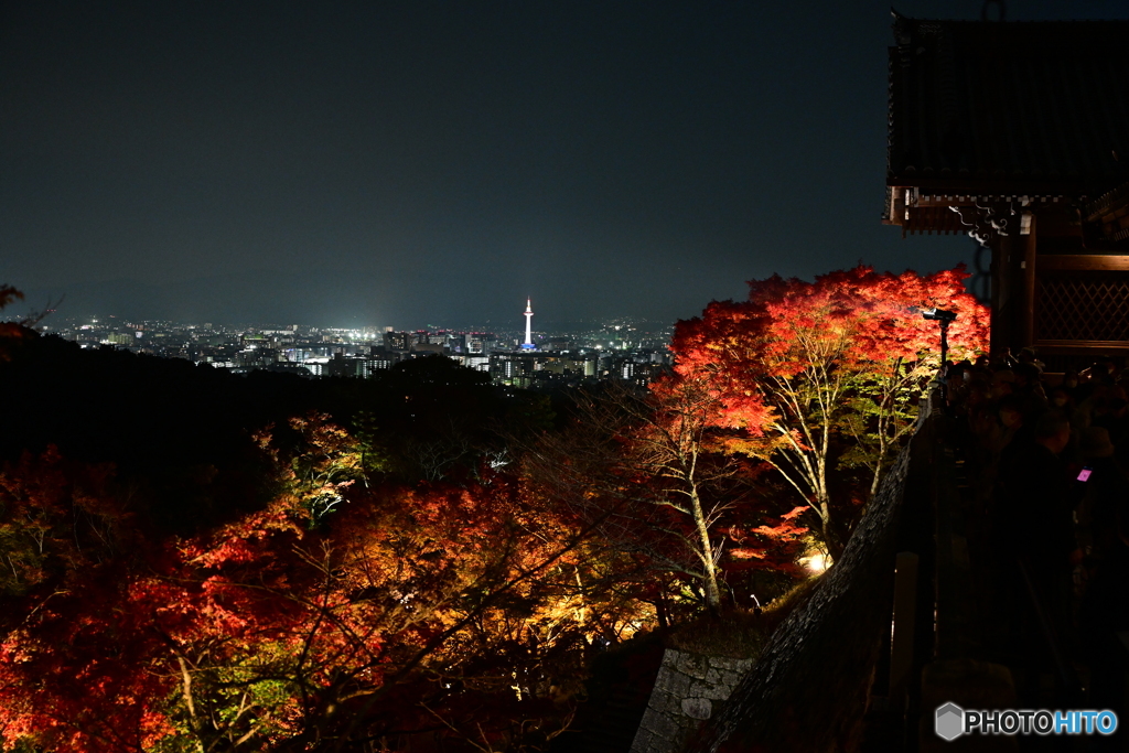 夜景