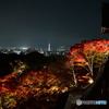 夜景