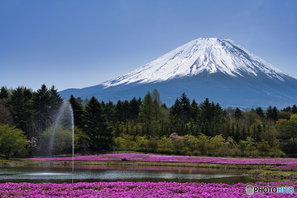 富士山