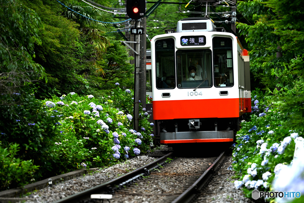 箱根登山鉄道