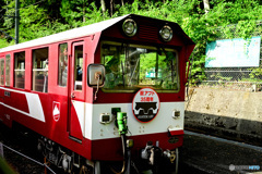 アプト式トロッコ列車