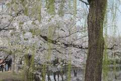 IMG_1396