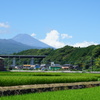 富士山と夏の田園風景