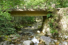 夏の渓流と橋