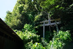 素朴な山上神社