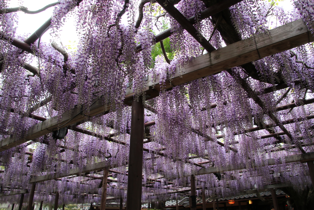 北方文化博物館