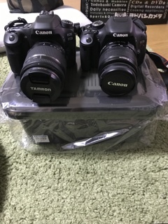 80Dデビュー