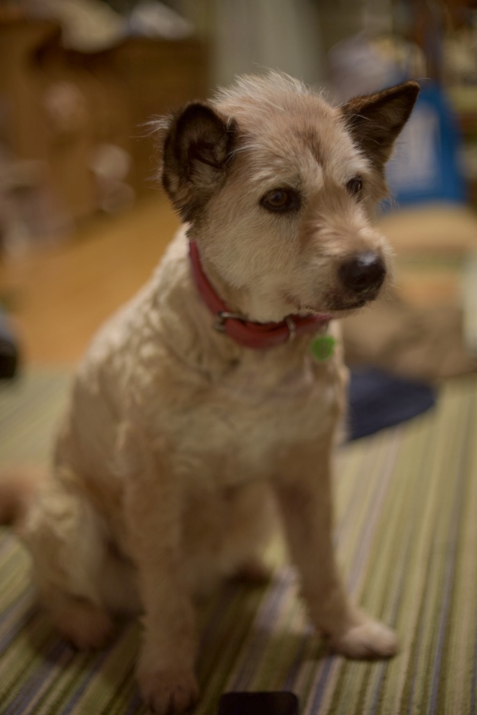 8DDE6825-EF4A-4D28-A985-8B49D8760F37