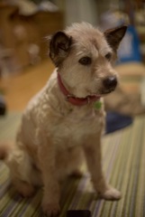 8DDE6825-EF4A-4D28-A985-8B49D8760F37