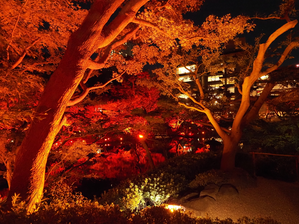 八芳園イルミネーションその９