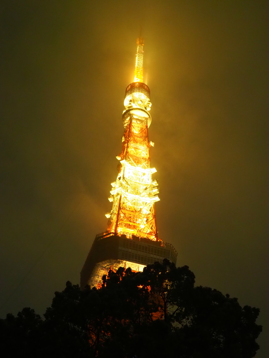 雨の東京タワー