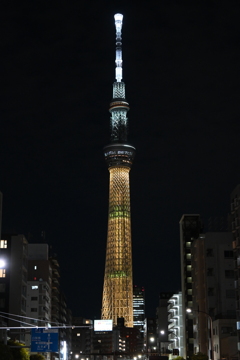 金メダルお祝いライティングその２