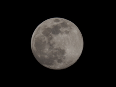満月の１日前その３