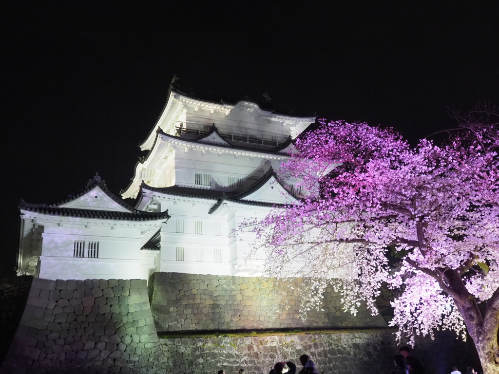 小田原城天守閣