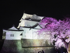 小田原城天守閣