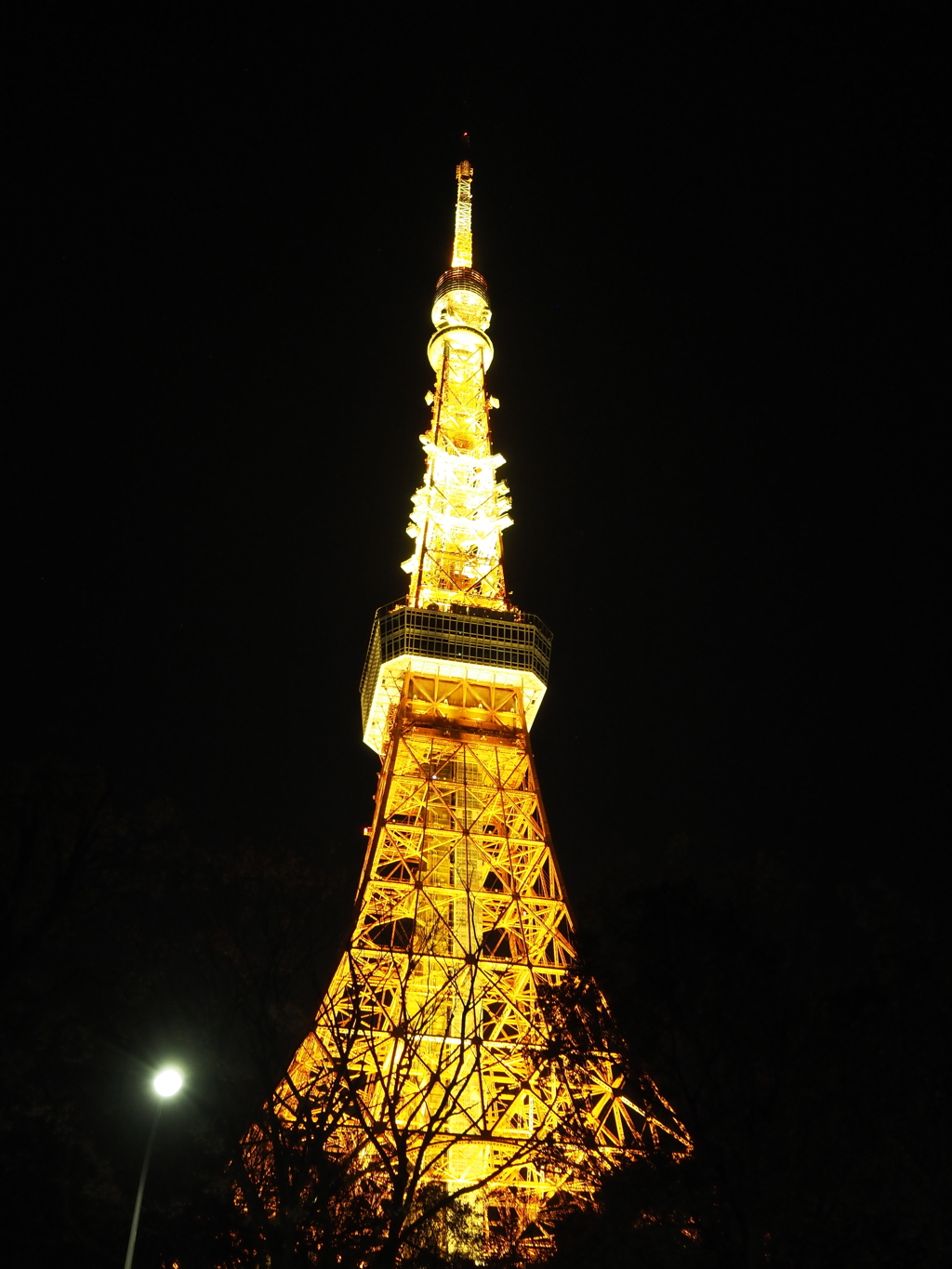 東京タワー周辺その９