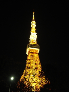 東京タワー周辺その９