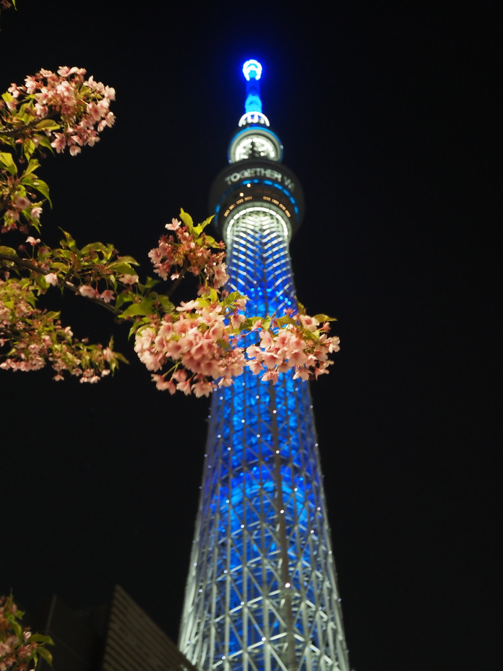 スカイツリー夜景その９