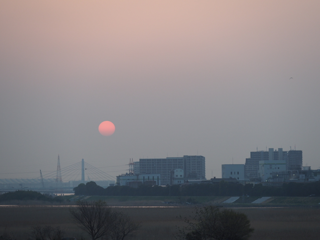 六郷橋から見た朝日2