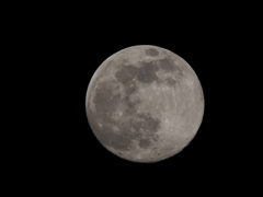 満月の１日前その４