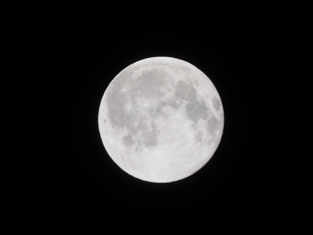 20.12.30満月（オリンパスレンズ）