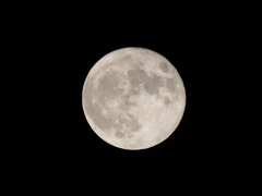 １０月２日の満月その２