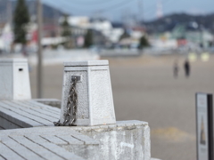 三浦海岸桜祭りその１