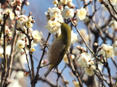足がセクシーかも