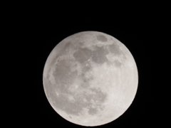 満月