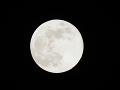満月その１