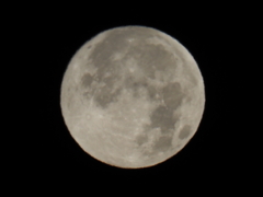 今年最後の満月