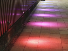 東京モノレール大井競馬場前駅イルミネーションその４