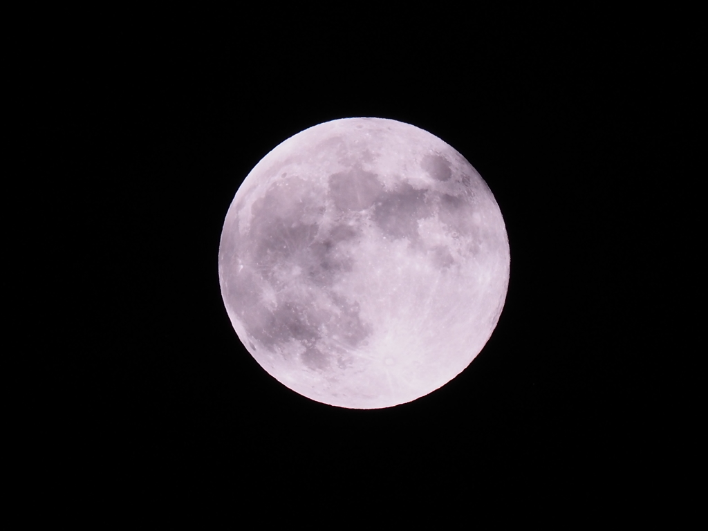 ストロベリームーン？