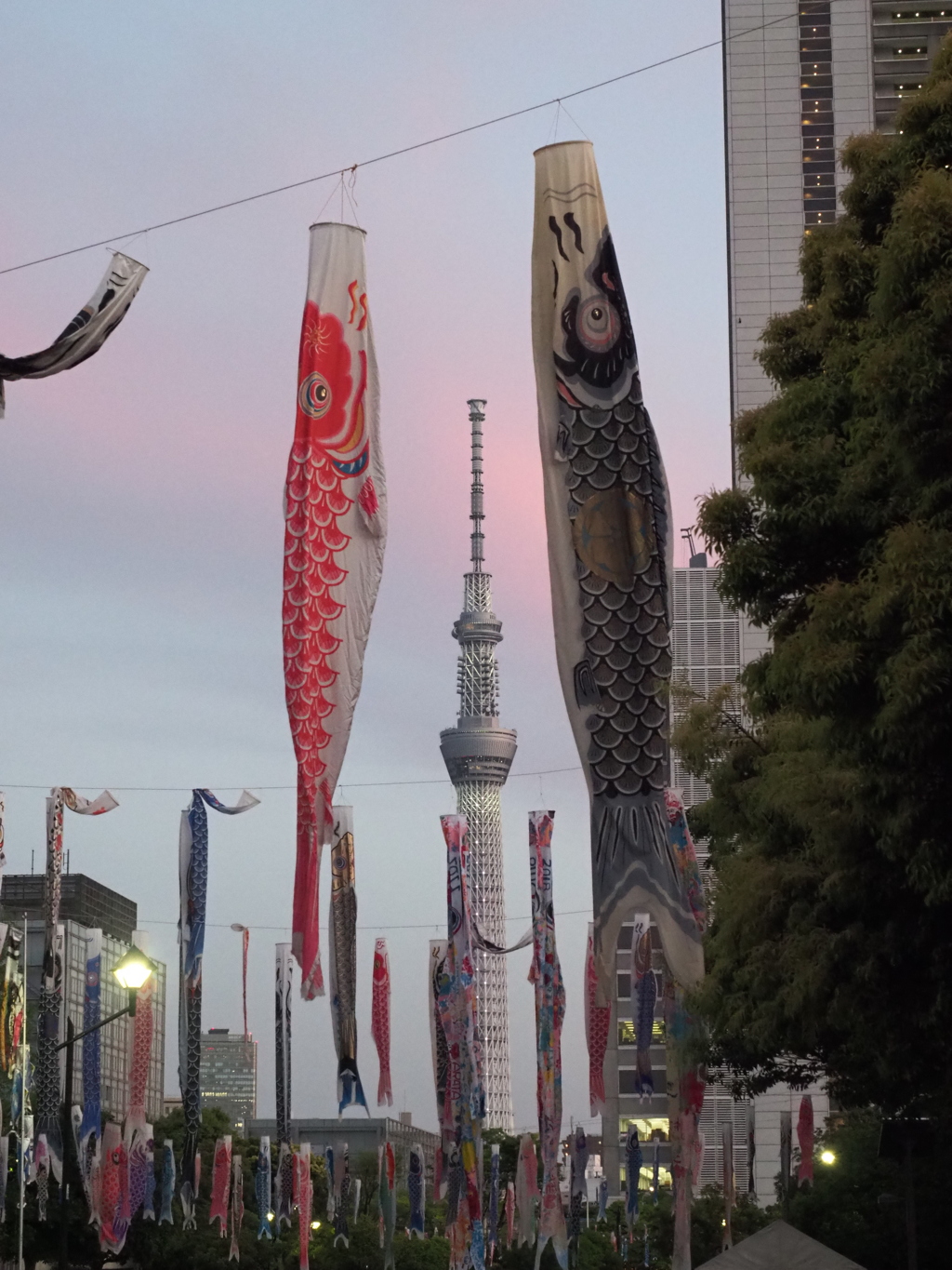 すみだ鯉のぼりフェスタ