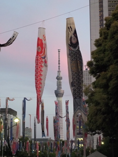 すみだ鯉のぼりフェスタ