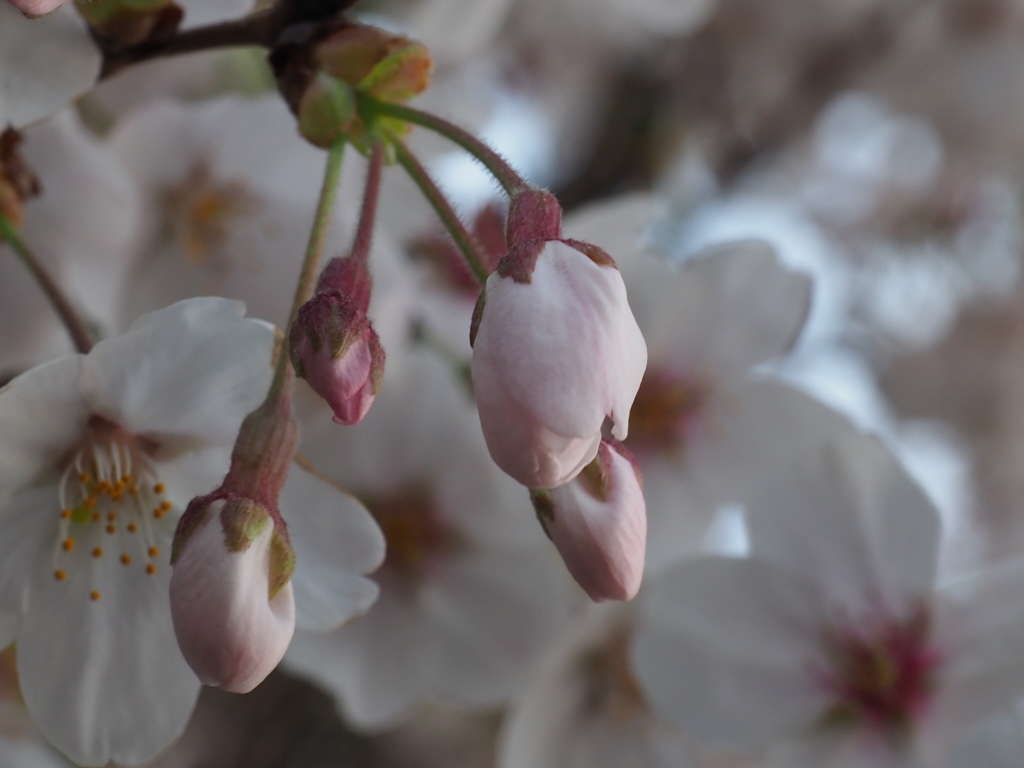 27331AAF-E899-4731-9115-D3036446A9AC