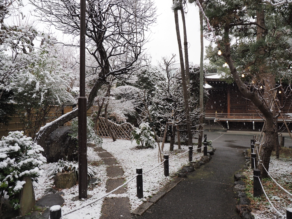 雪の東京その７