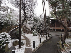 雪の東京その７