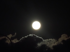 ND-１０００００試し撮りその２