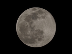 ワームムーンその１