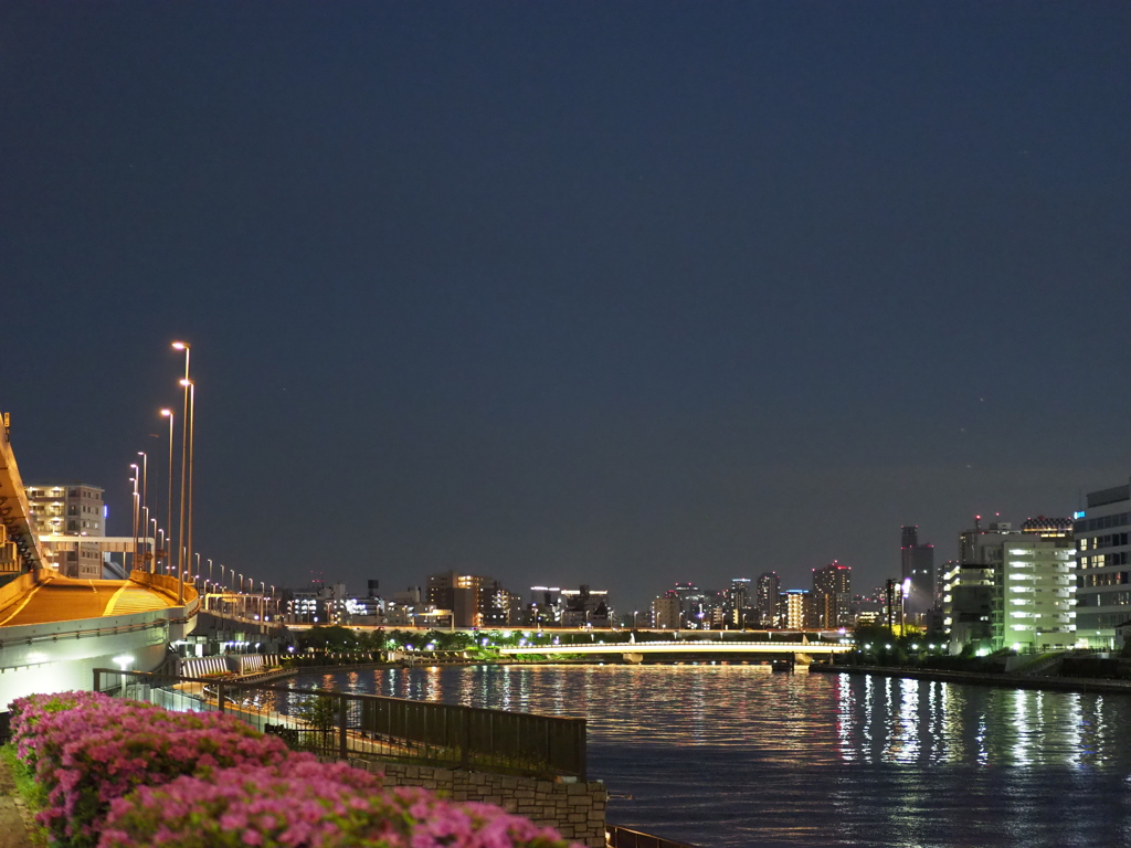 隅田川の夜景