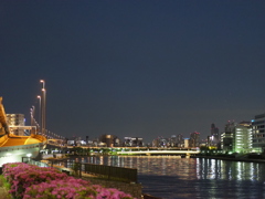 隅田川の夜景